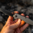 millit torrent light elite